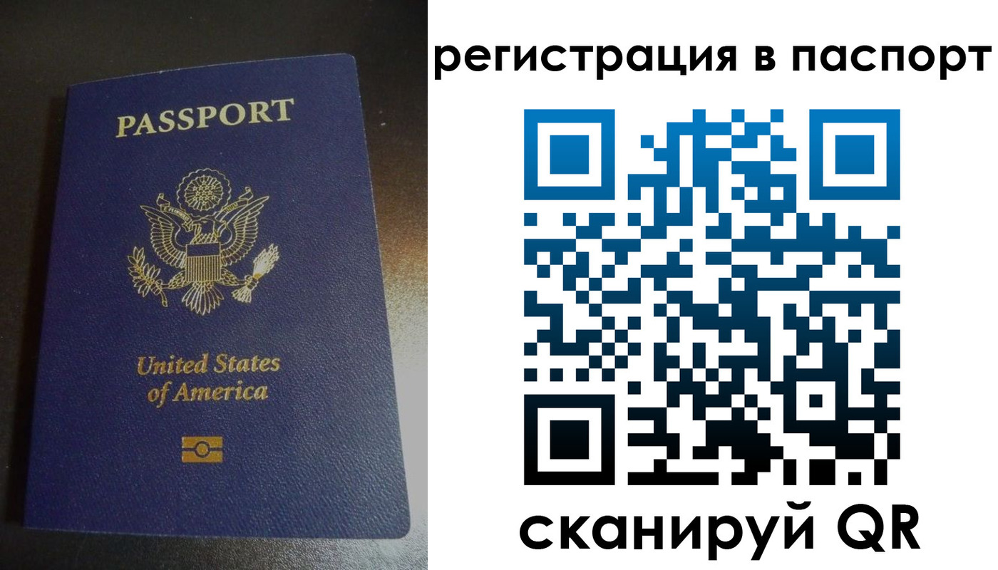 прописка для школы в Кораблино